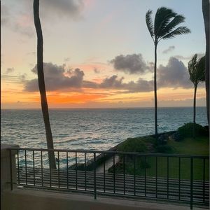 Meet your Posher, Sunnie